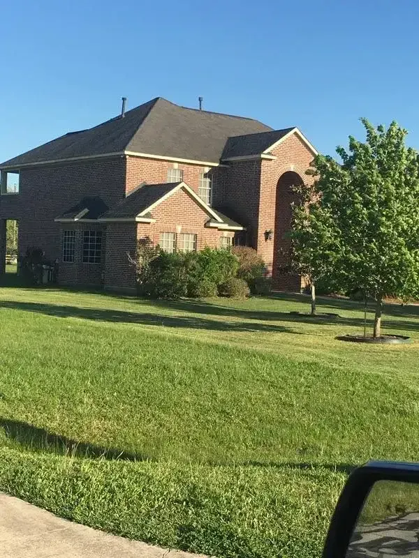 Well-trimmed yard showing neat mowing results