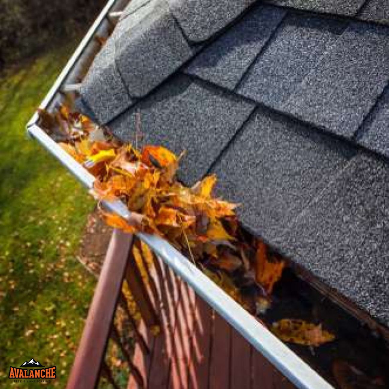 Gutter cleaning New Haven, CT