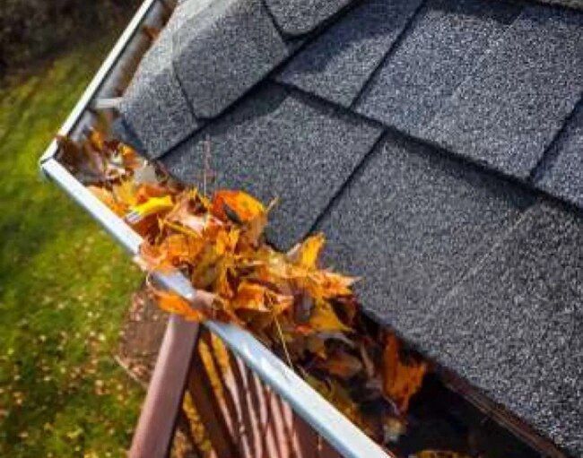 New Haven, CT gutter cleaning service