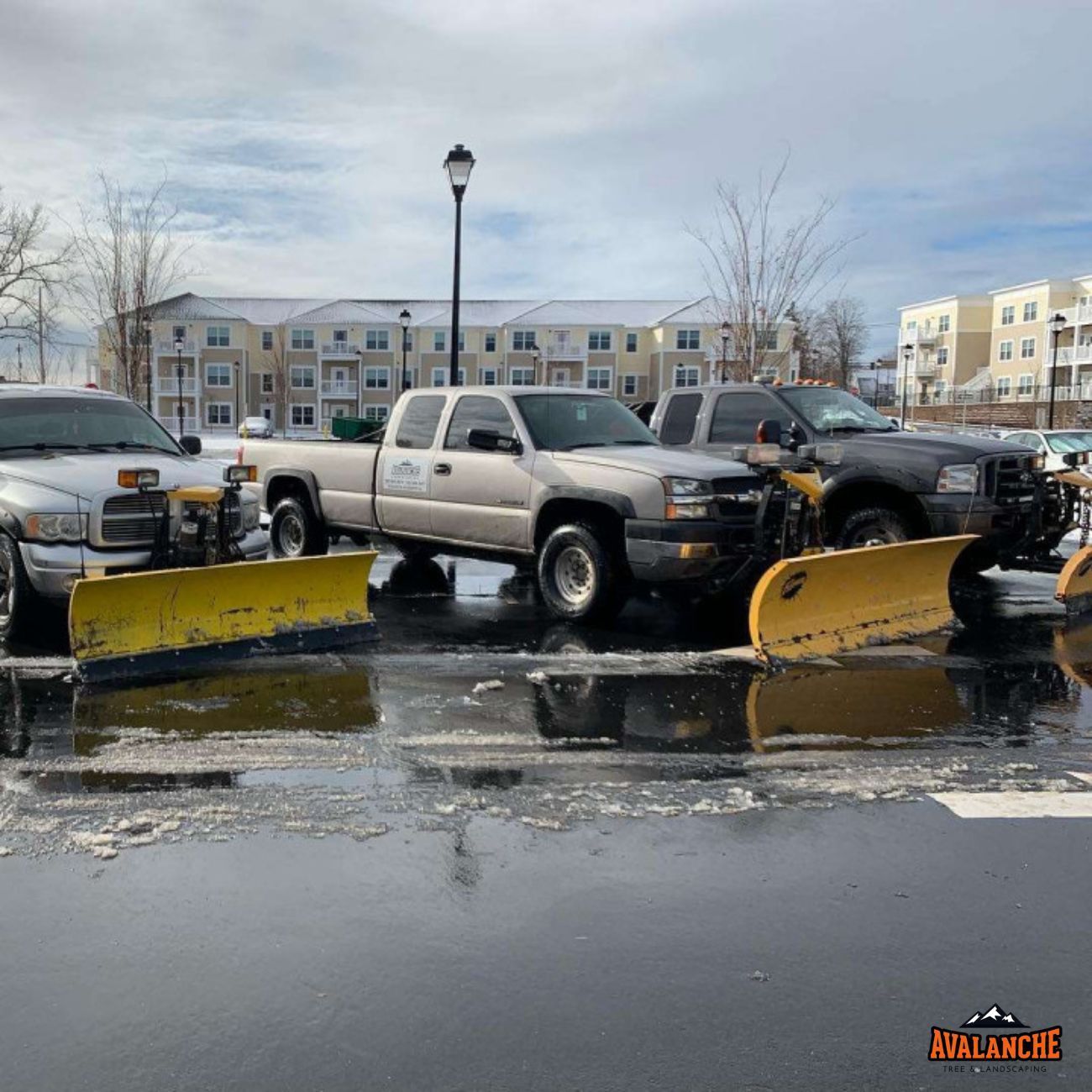 New Haven snow cleanup