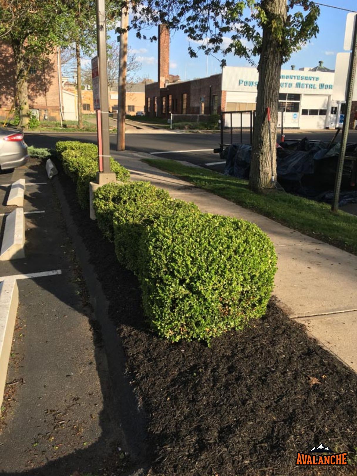 Lawn maintenance in New Haven