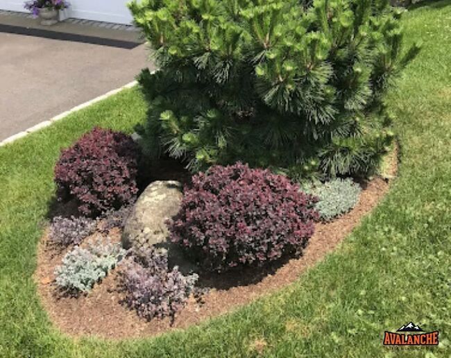 Tidy garden area with freshly cut grass
