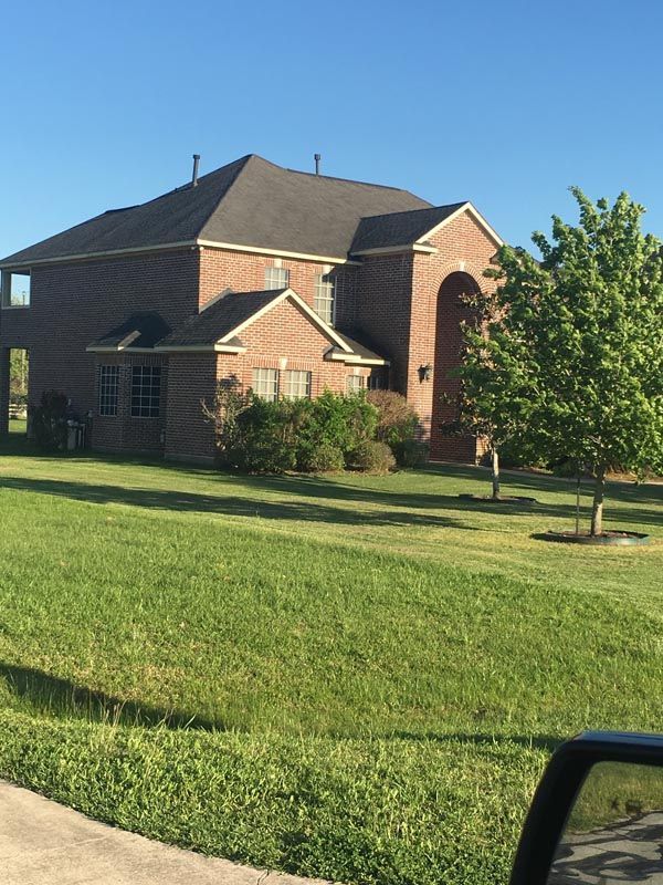 Well-trimmed yard showing neat mowing results