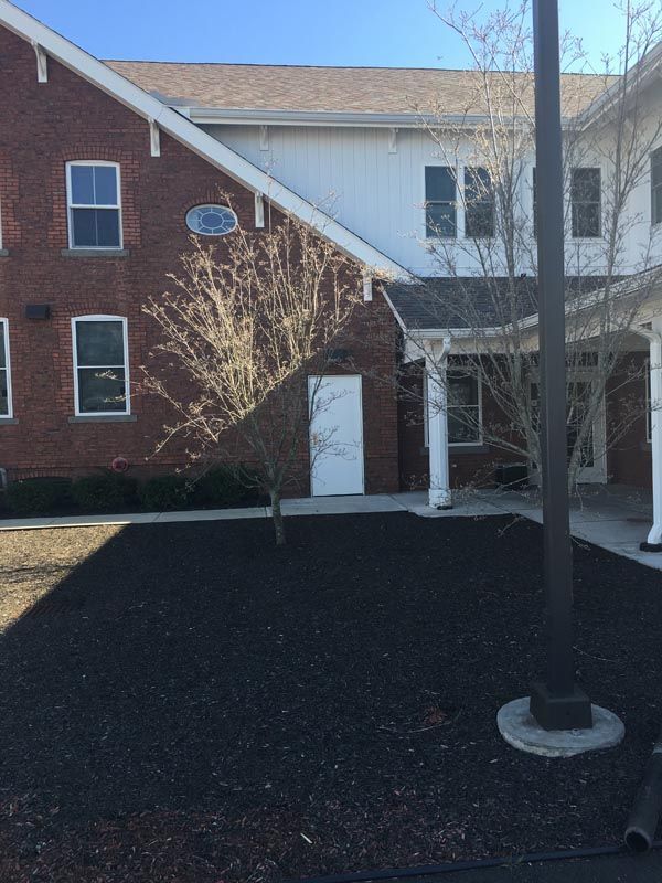 Cleared area ready for landscaping