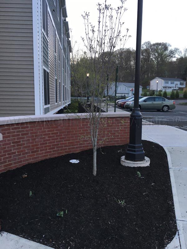 Bare ground prepared for landscaping, New Haven, CT