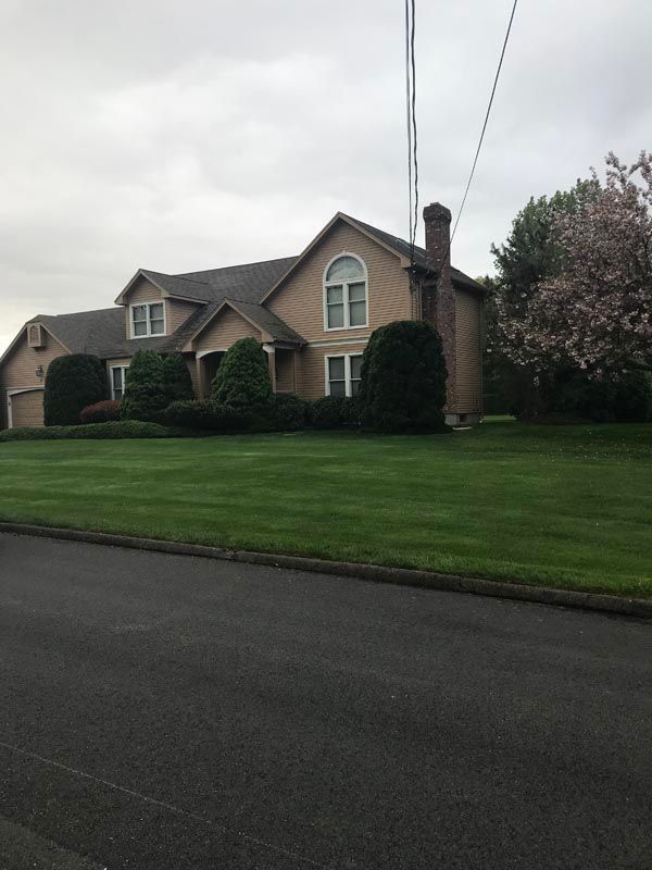 Lawn with crisp, clean lines after mowing