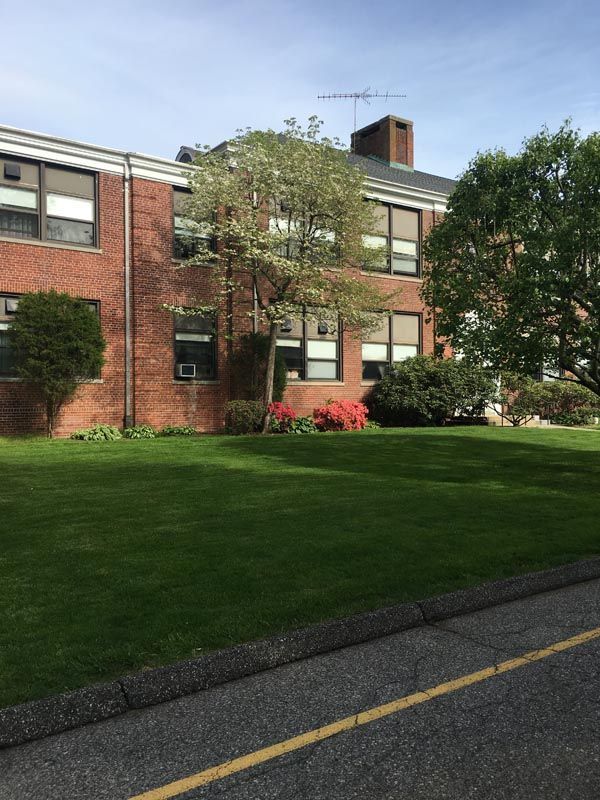 Evenly cut grass showing tidy results