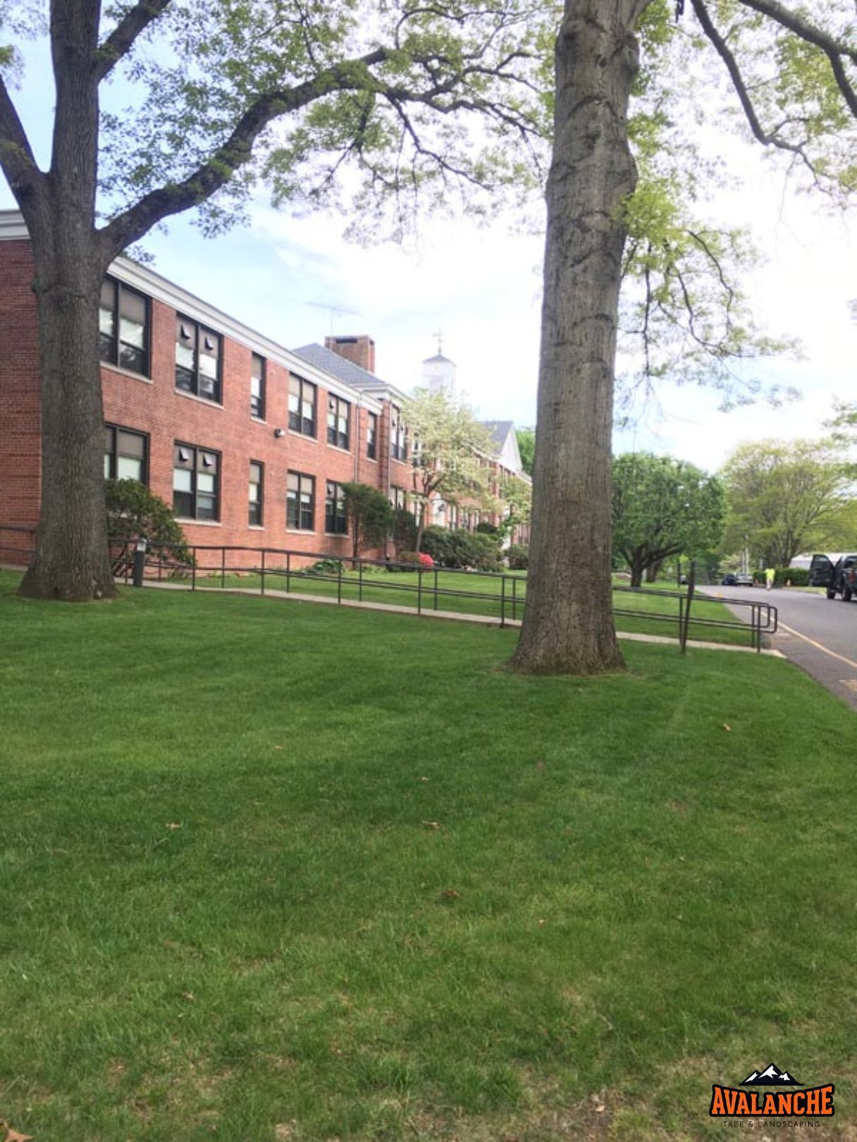 Freshly mowed lawn with neatly trimmed grass