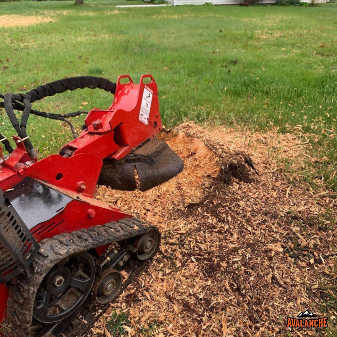 Tree stump grinding in New Haven, CT