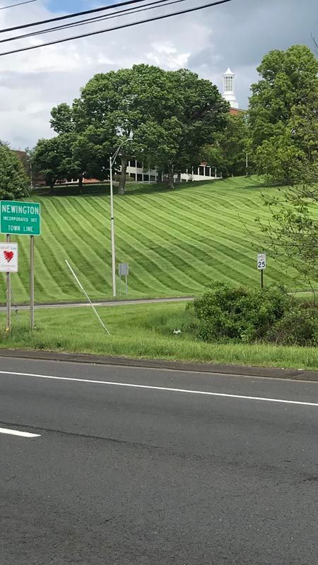 Lawn yard with visible mowing patterns and clean look