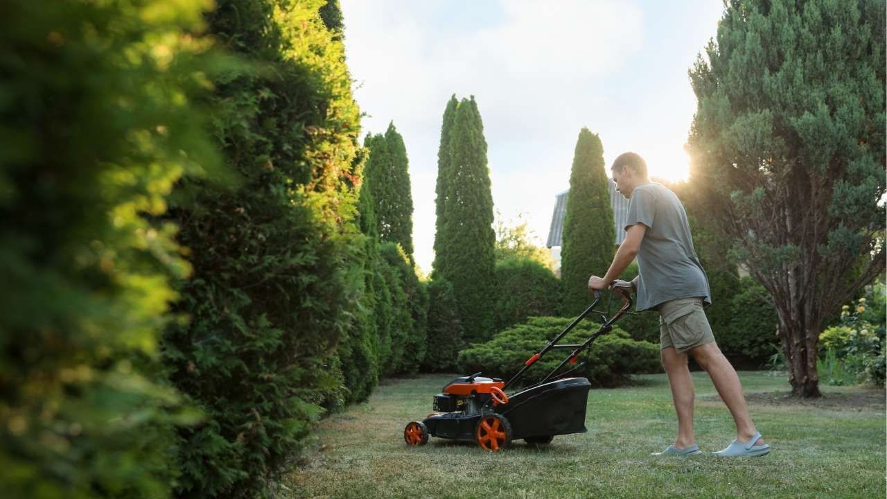 lawn maintenance equipment