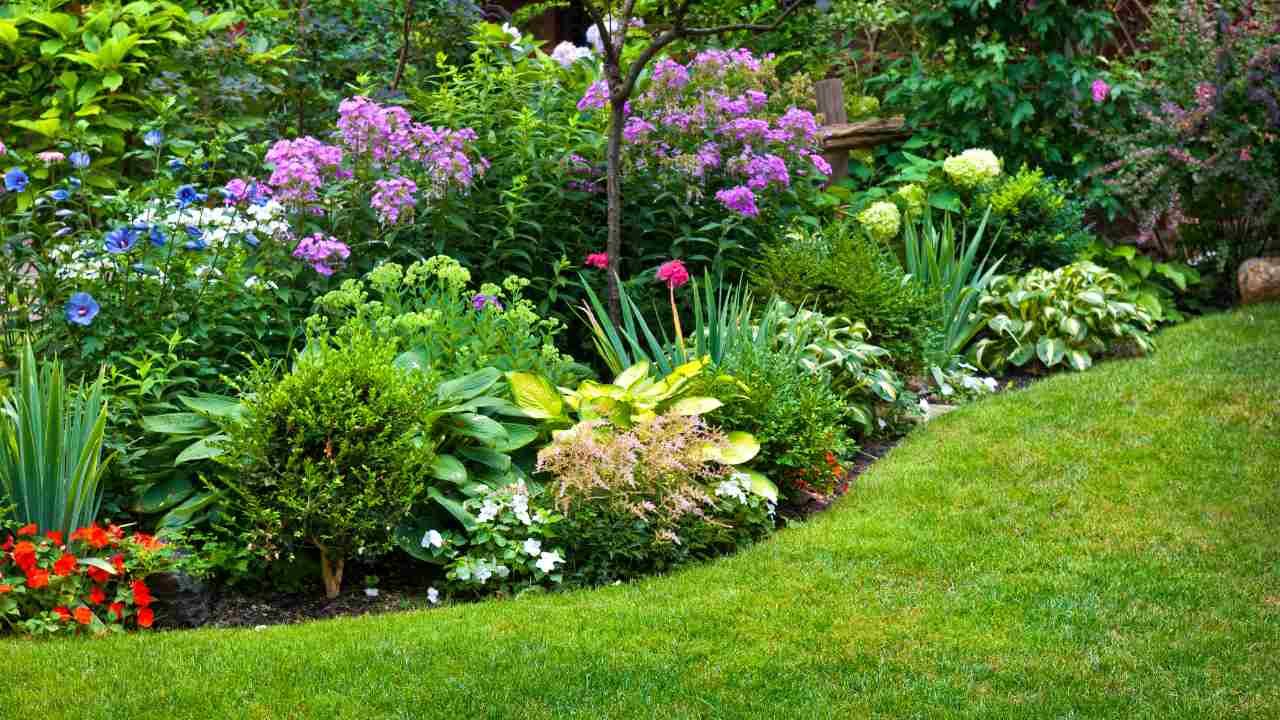 New Haven grass types