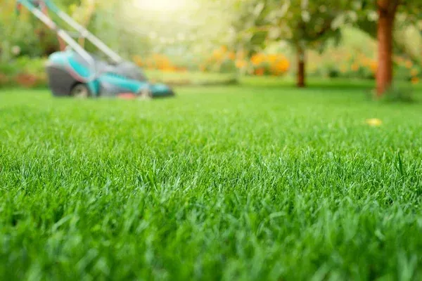 Close-up of a professional lawn mower in action