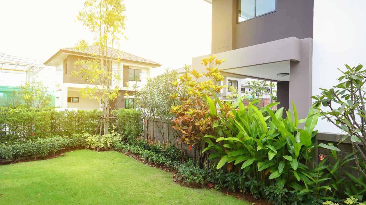 Sustainable lawn care