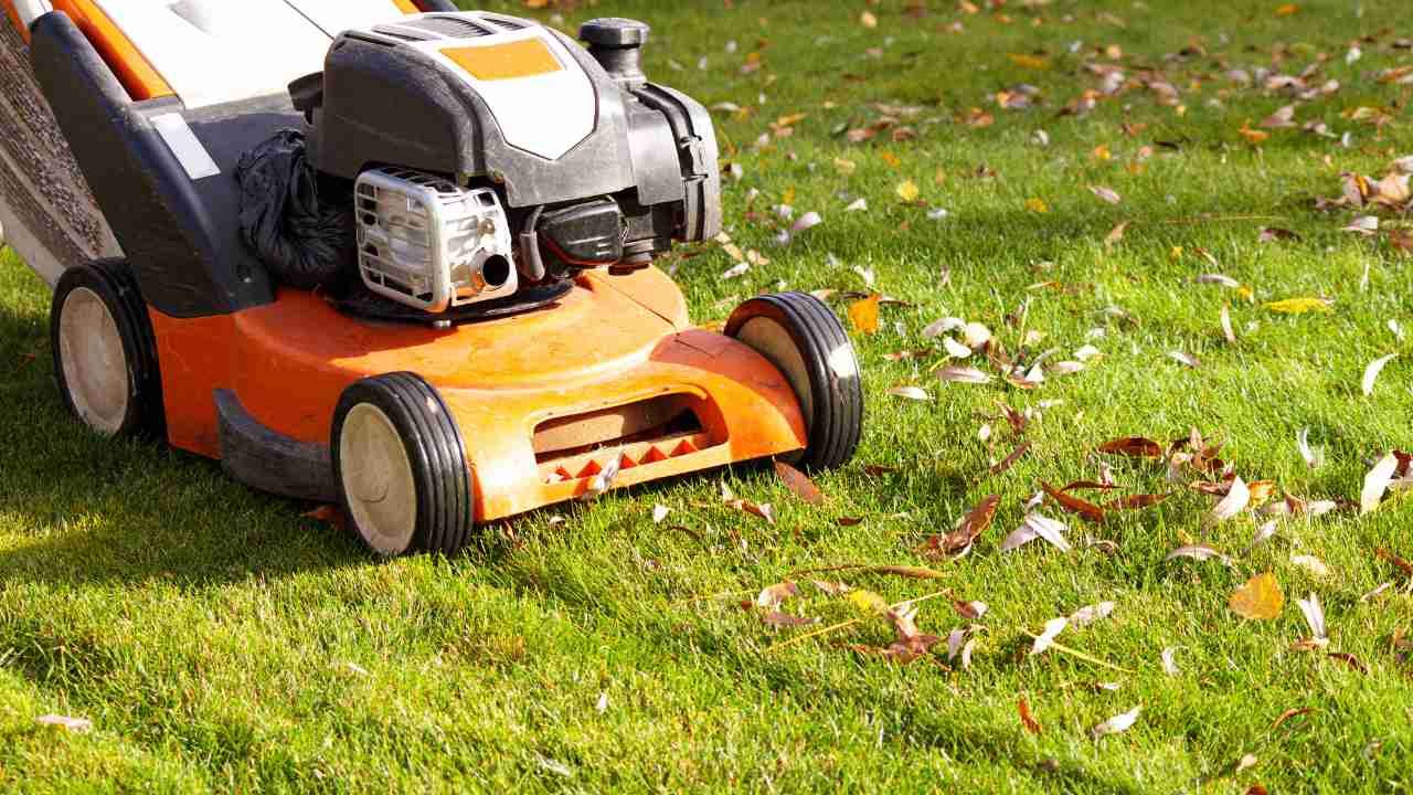 overseeding tips