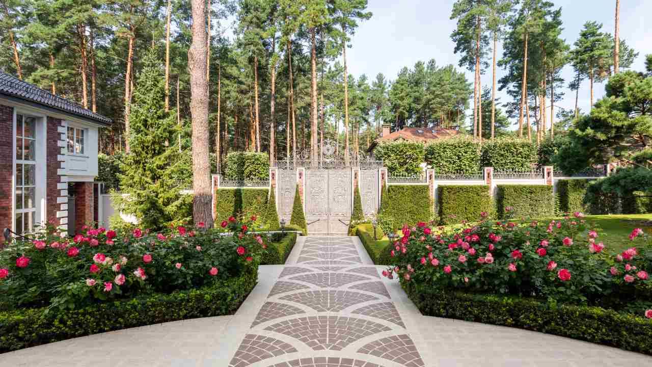 landscaping ideas