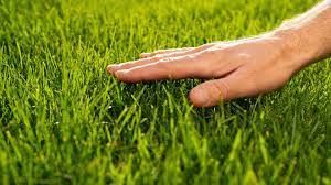 a turf installation that is done by the experts in lawn care in New Haven