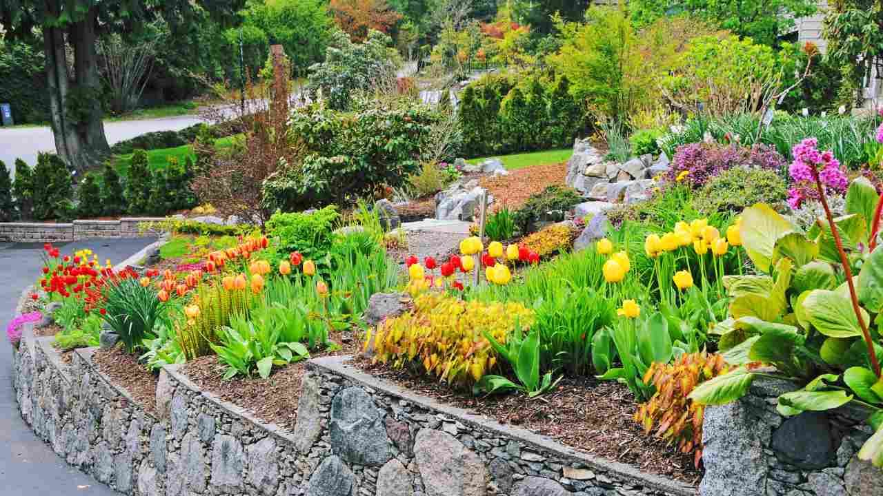 Budget-friendly landscaping