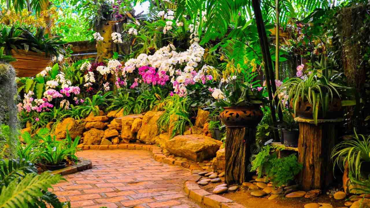 Tree roots landscaping