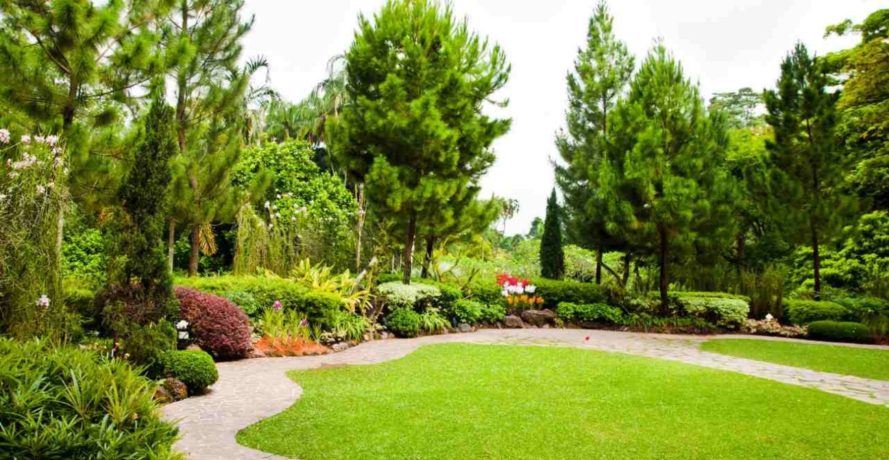 We are dedicated to enhancing the natural charm of your property.