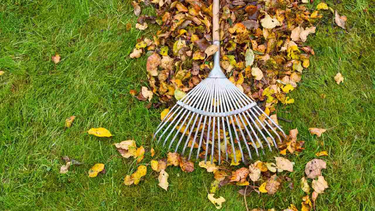 winter landscape maintenance