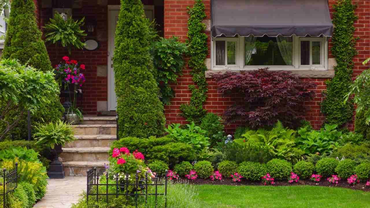 Small yard landscaping