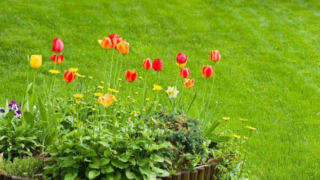 Spring-ready landscaping