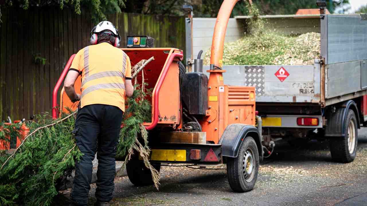 Wood chipper New Haven CT