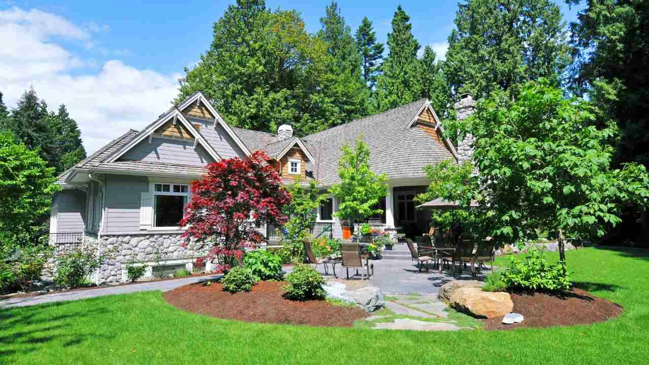 Lush green lawn and trees