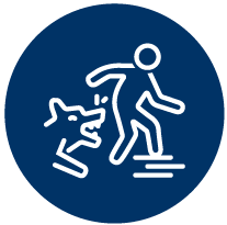 Dog Bites a Hand | Puyallup, WA | Law Office of Karl Zeiger