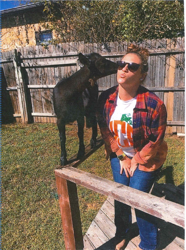 A woman in a plaid shirt is sitting next to a cow