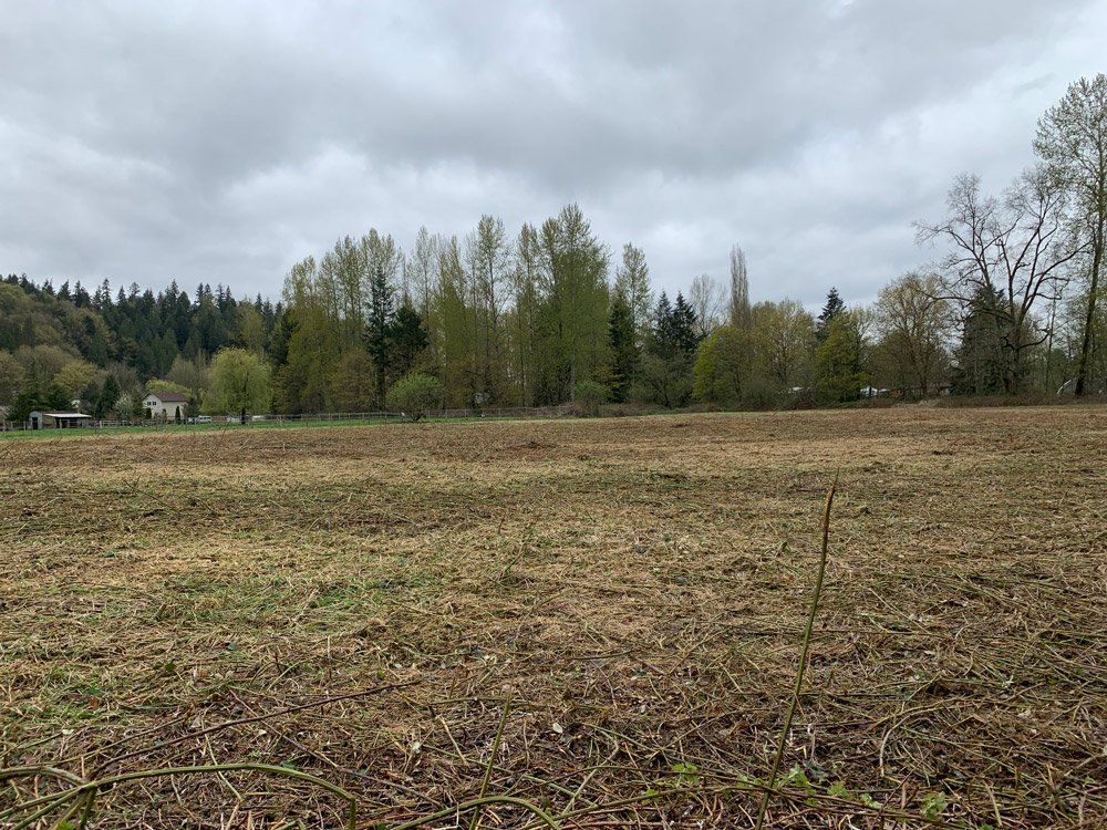 After Field Mowing — Snohomish, WA, — Smokey’s Tractor Werx & Excavation Inc.