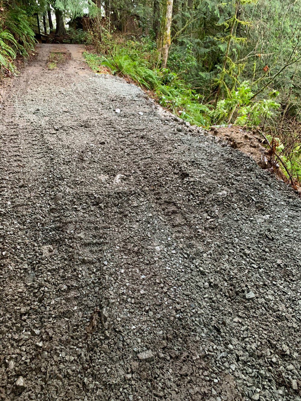 Road in Forest — Snohomish, WA, — Smokey’s Tractor Werx & Excavation Inc.