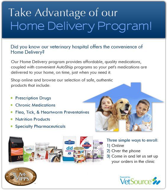 Veterinarian Dorchester, MA Emmerson Animal Hospital