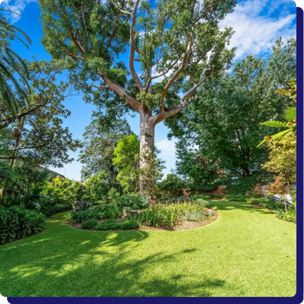 A large tree is in the middle of a lush green garden.