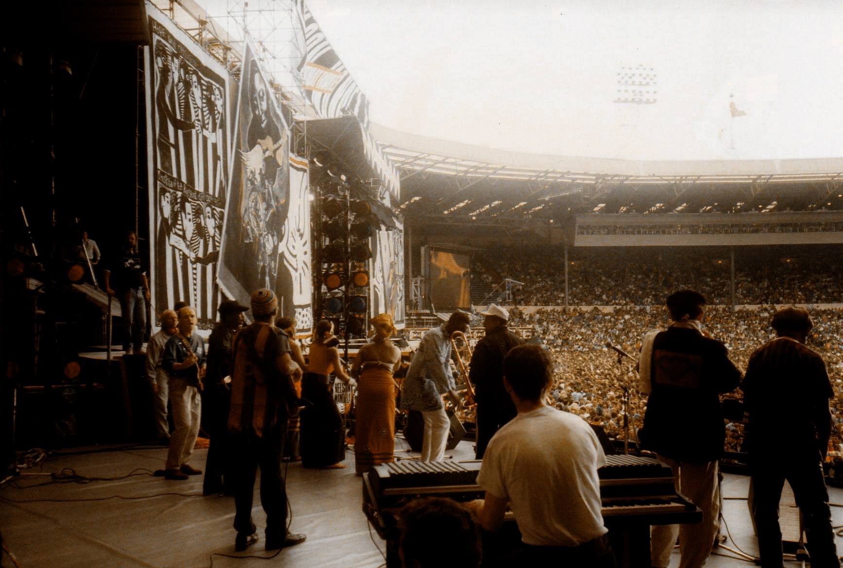 David Rollins on stage at Wembley Nelson Mandela Concert