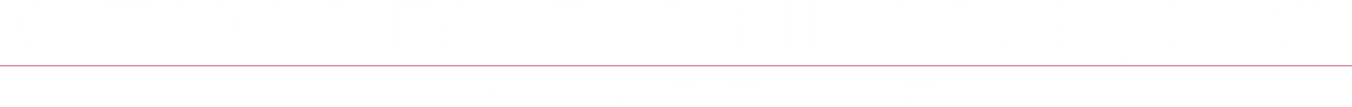 Gregory R. Shettle LLC Law Offices logo