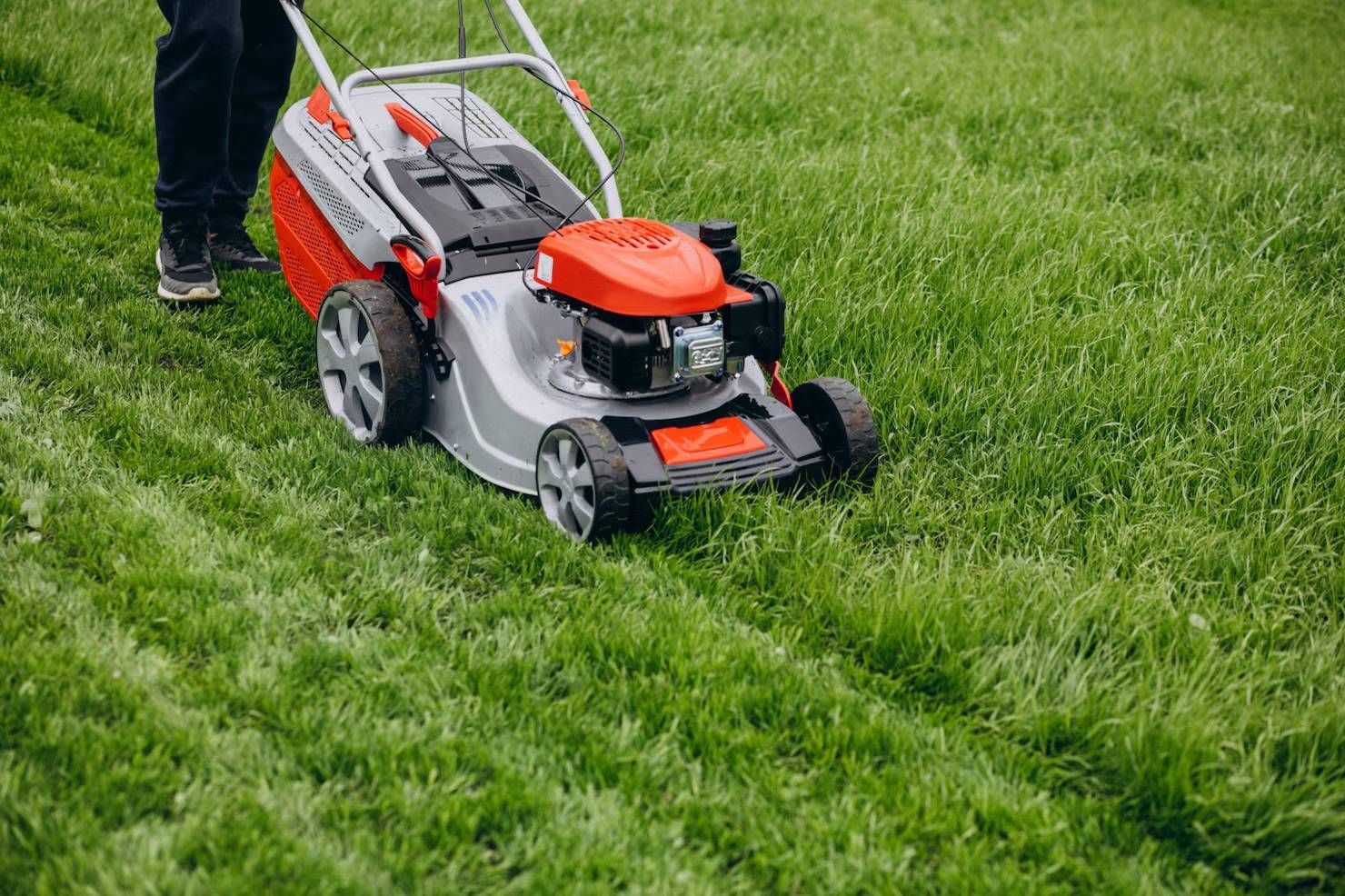 Person mowing a green lawn with a red and gray lawnmower on a sunny day.