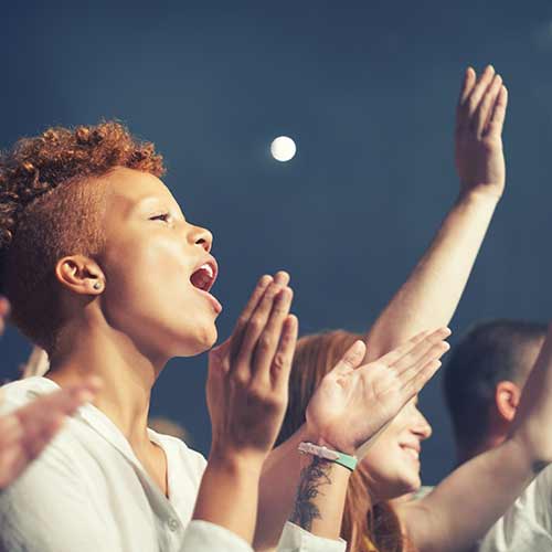 Security On Concerts — Elk Grove, CA — Airborne Security Patrol, Inc.