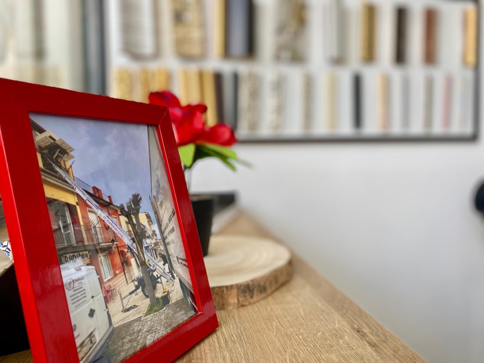 D'AMBROSIO GROUP SRL