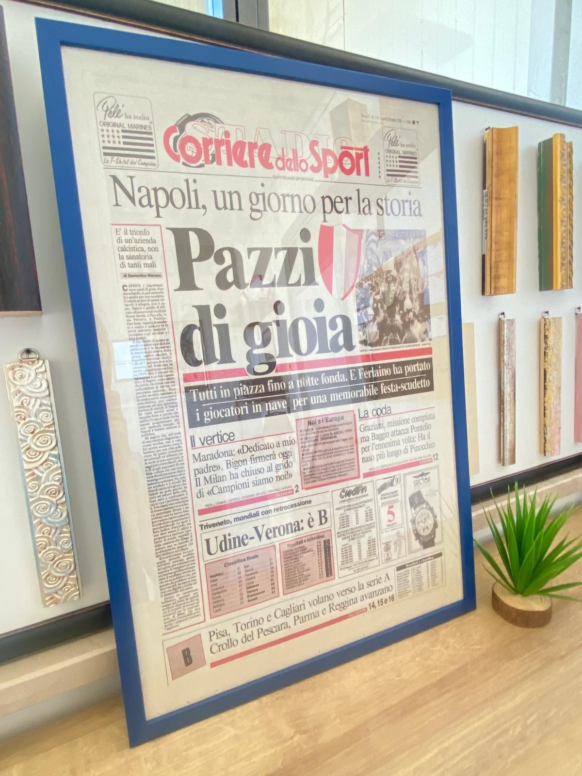 D'AMBROSIO GROUP SRL