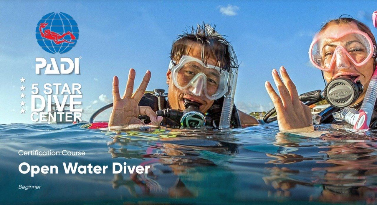 happy scuba divers