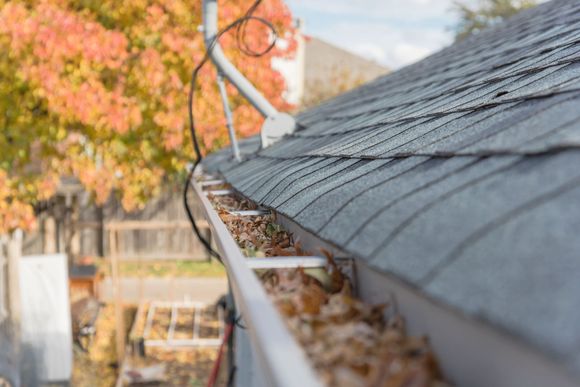 a gutter filled with leaves is on the roof of a house