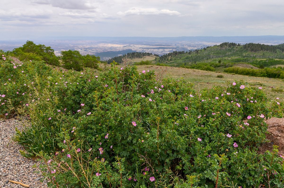 boulder mountain
