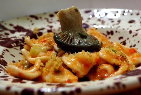 pasta with sauce and cardoncello mushroom