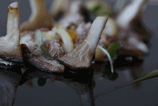 pan-cooked cardoncelli mushrooms