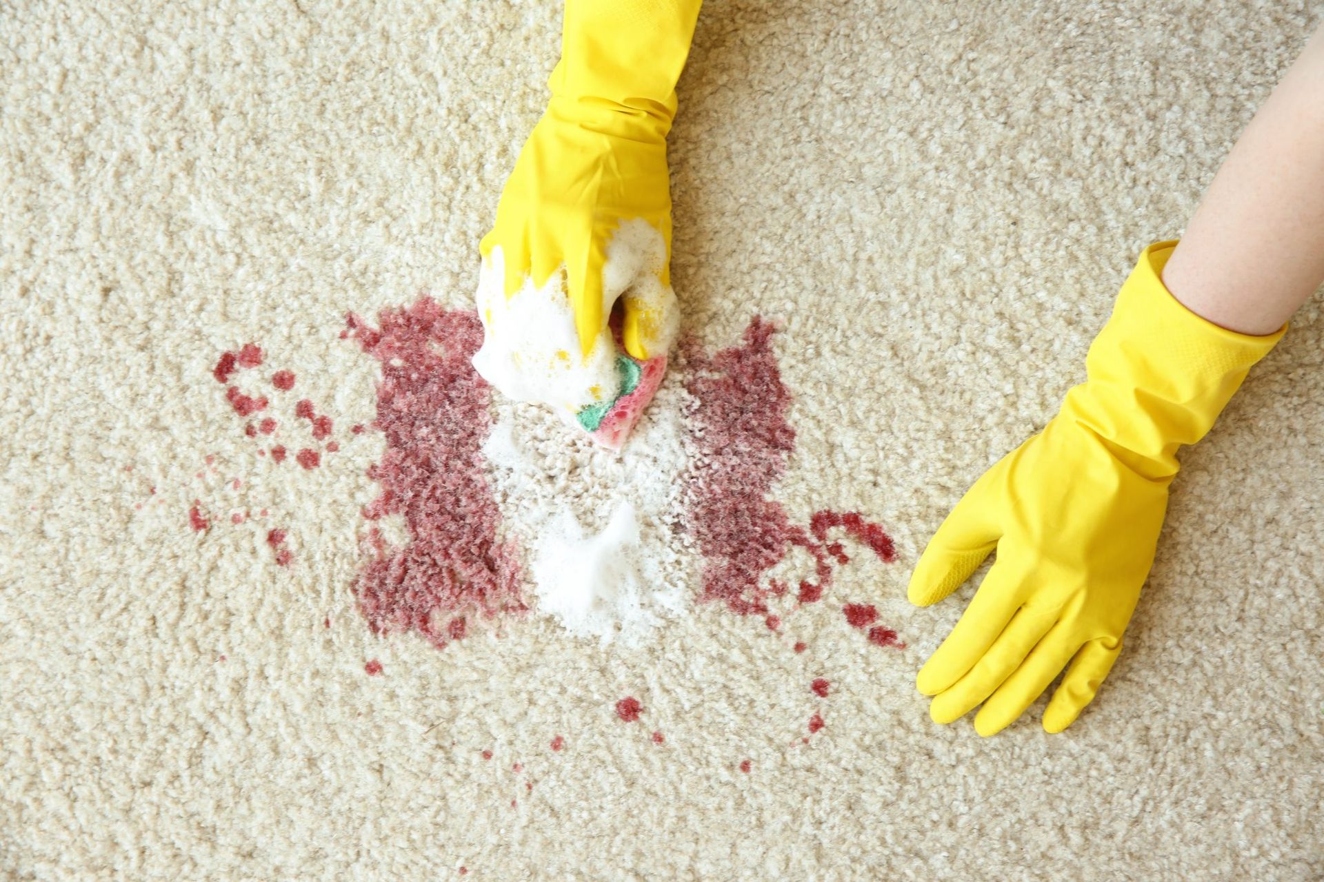 Yellow-gloved hands cleaning a red stain from a light carpet with a white cloth