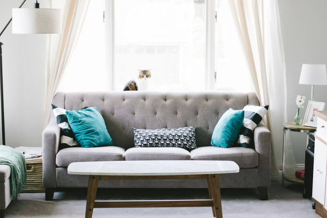 Bright living room with gray sofa, teal pillows, and white curtains by a window