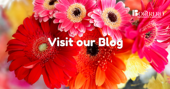 Bright gerbera daisies in shades of red, pink, and orange.