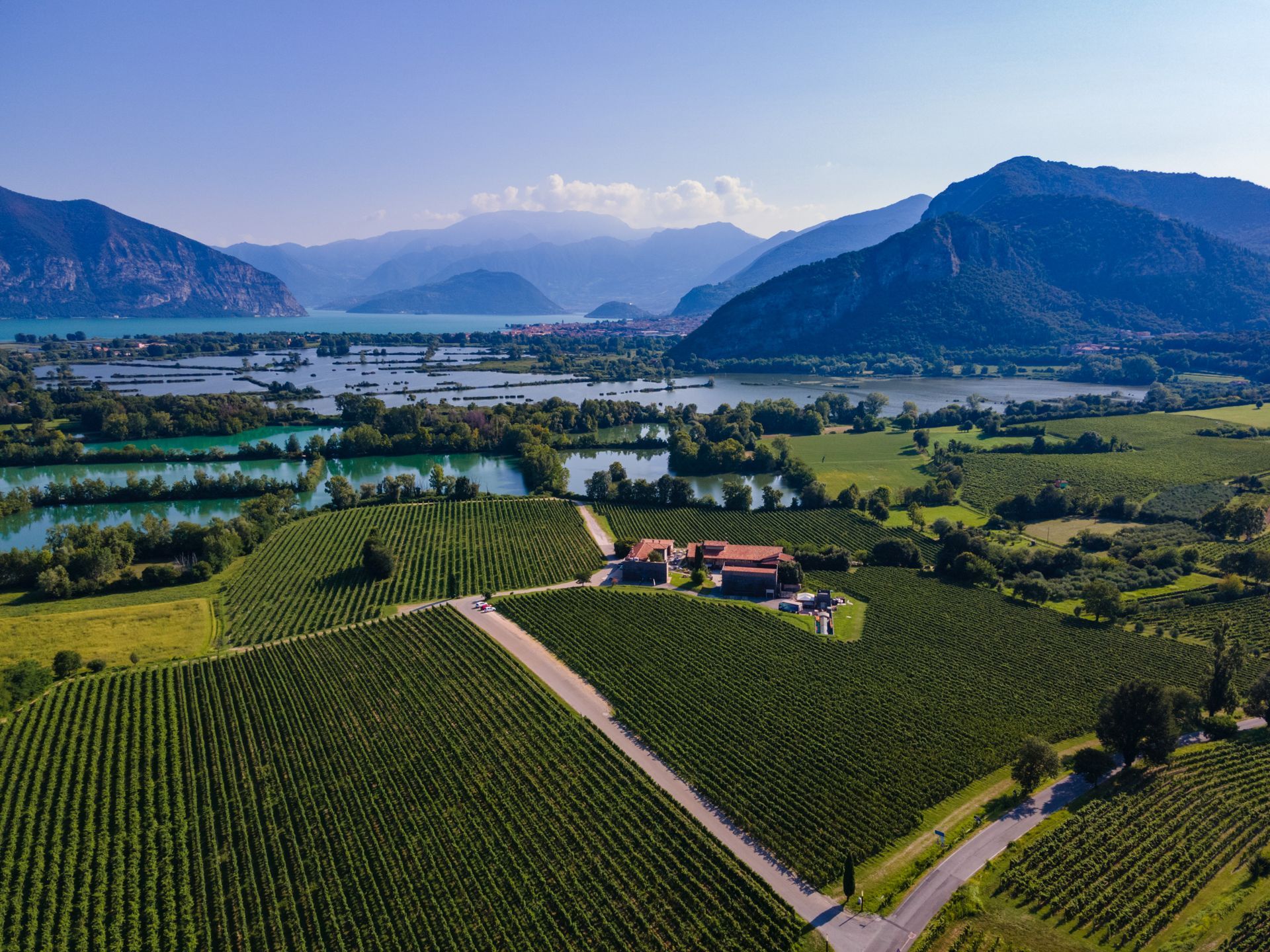 Vigneto con casa, circondato da acqua e montagne sotto un cielo azzurro.